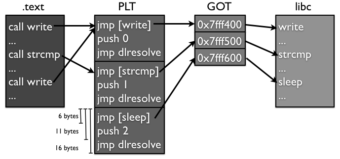 plt structure